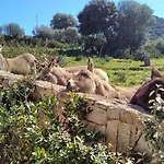 Country House Holiday - Olbia